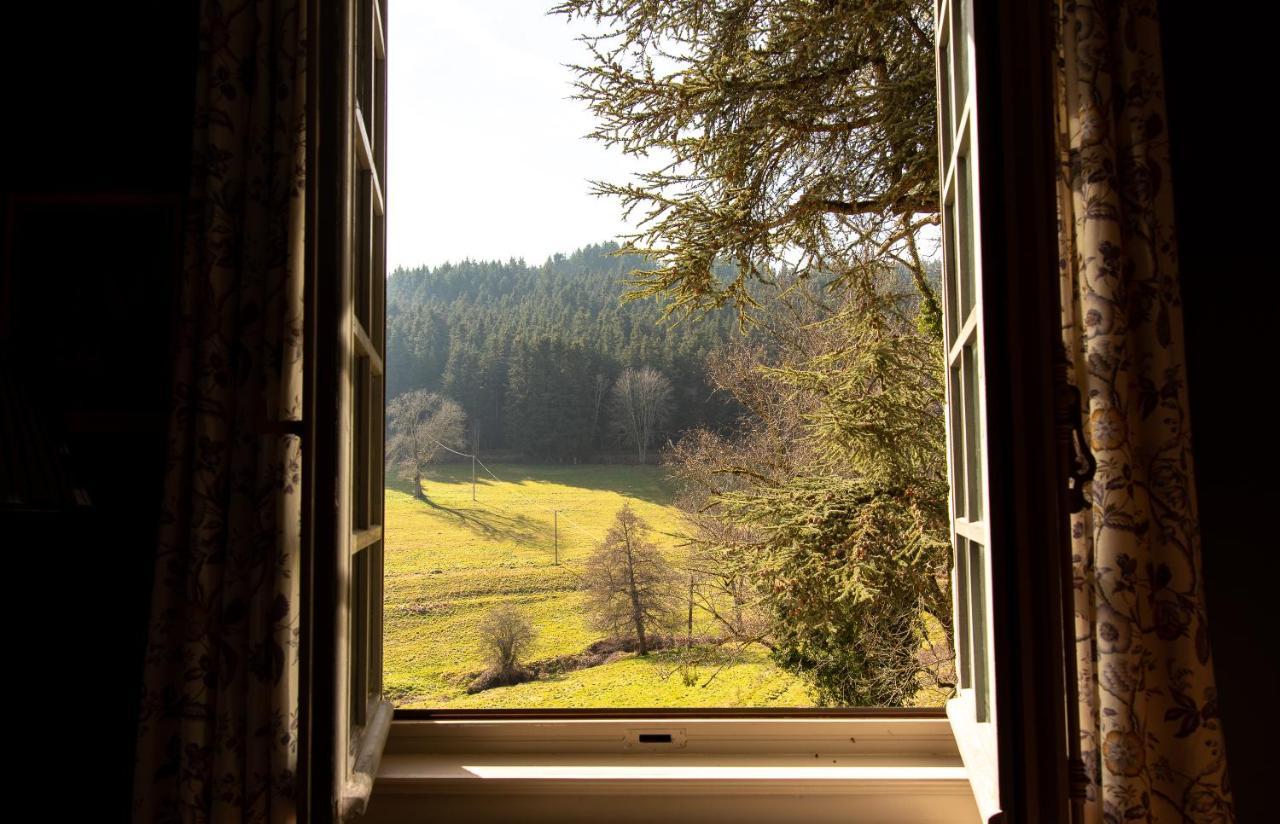 Chateau De Pramenoux Lamure-sur-Azergues Exterior foto